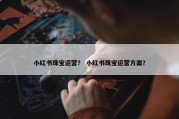 小红书珠宝运营？ 小红书珠宝运营方案？
