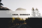 分类荔枝，荔枝类别及名字