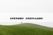 大学生学有用吗？ 大学生学什么比较好？