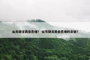 山东缺乏商业思维？ 山东缺乏商业思维的企业？