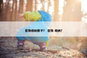 首饰收纳册子？ 首饰 收纳？