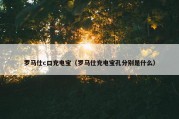 罗马仕c口充电宝（罗马仕充电宝孔分别是什么）