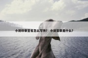小说印章签名怎么写快？ 小说签章是什么？