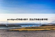 acrobpro打印成小册子（怎么打印成小册子样）