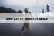 美短为什么黑鼻子大，美短黑鼻头好还是红鼻头好