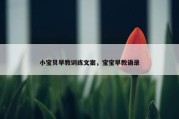 小宝贝早教训练文案，宝宝早教语录
