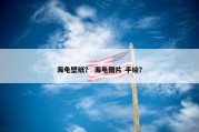 海龟壁纸？ 海龟图片 手绘？