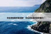 羽毛球拍裂纹鉴定图？ 羽毛球拍裂纹鉴定图片？