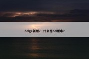 bdge新版？ 什么是bd版本？