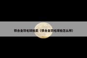 铁合金羽毛球拍卖（铁合金羽毛球拍怎么样）