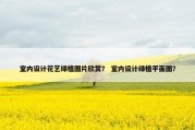 室内设计花艺绿植图片欣赏？ 室内设计绿植平面图？