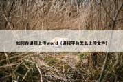如何在课程上传word（课程平台怎么上传文件）