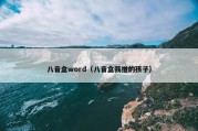 八音盒word（八音盒我推的孩子）