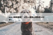 word课程感悟？ office课程心得体会300字？