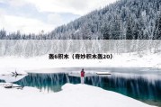 轰6积木（奇妙积木轰20）