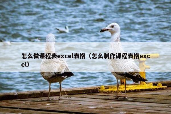 怎么做课程表excel表格(怎么制作课程表格excel) 怎么做课程表excel表格(怎么制作课程表格excel)