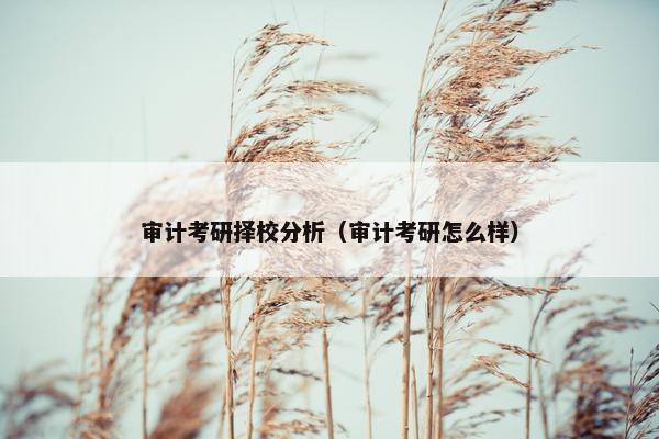 审计考研择校分析(审计考研怎么样) 审计考研择校分析(审计考研怎么样)
