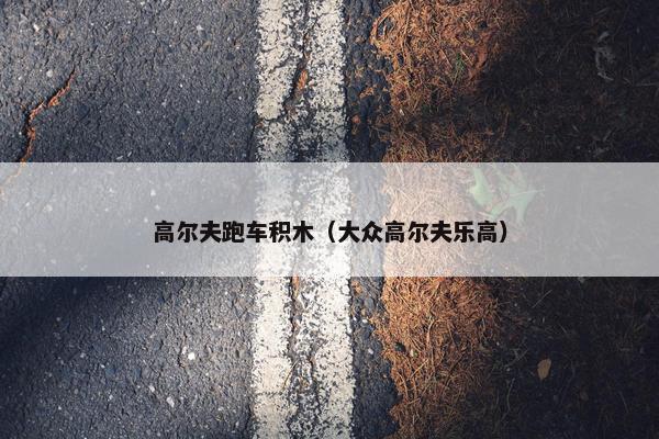 高尔夫跑车积木（大众高尔夫乐高）