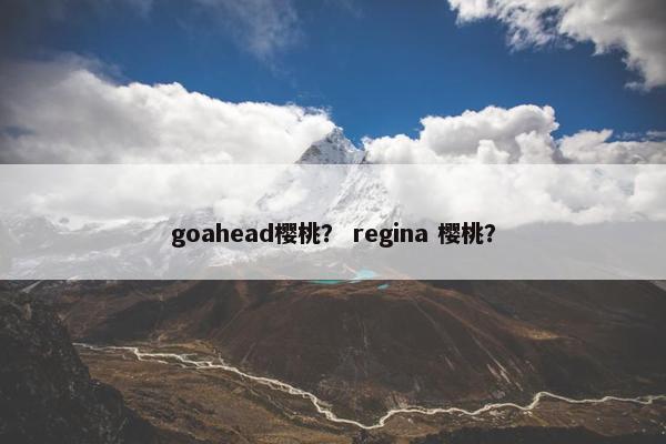 goahead樱桃? regina 樱桃? goahead樱桃? regina 樱桃?