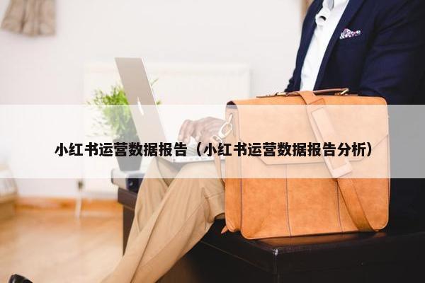 小红书运营数据报告（小红书运营数据报告分析）