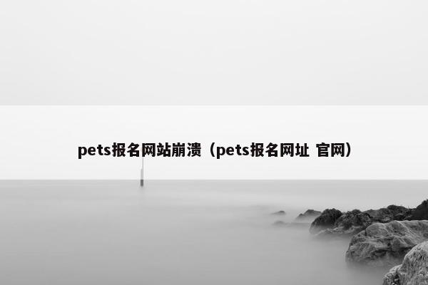 pets报名网站崩溃（pets报名网址 官网）
