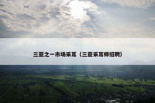 三亚之一市场采耳（三亚采耳师招聘）