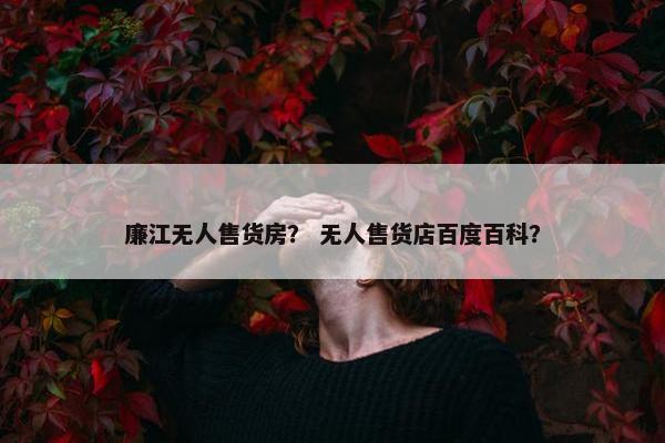 廉江无人售货房? 无人售货店百度百科? 廉江无人售货房? 无人售货店百度百科?