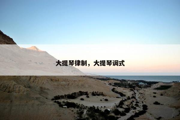 大提琴律制，大提琴调式