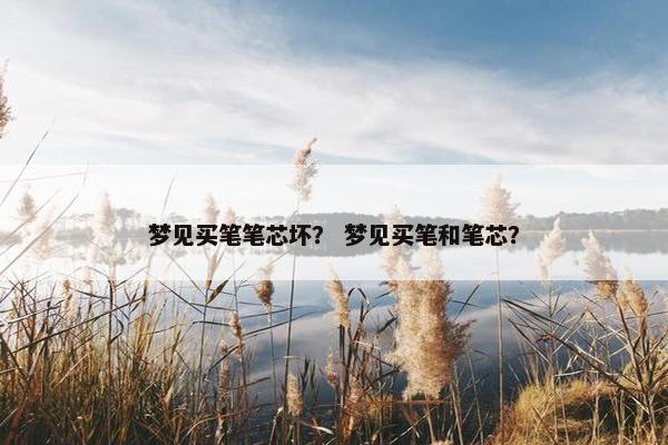 梦见买笔笔芯坏? 梦见买笔和笔芯? 梦见买笔笔芯坏? 梦见买笔和笔芯?