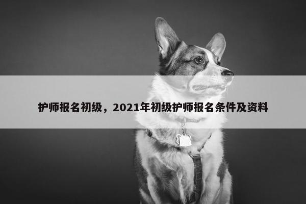护师报名初级,2021年初级护师报名条件及资料 护师报名初级,2021年初级护师报名条件及资料