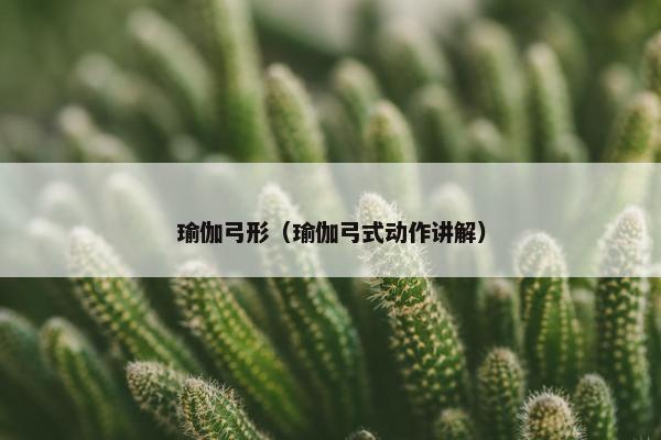 瑜伽弓形（瑜伽弓式动作讲解）