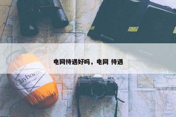 电网待遇好吗，电网 待遇