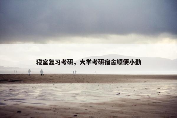 寝室复习考研，大学考研宿舍顺便小勤