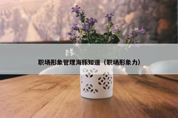 职场形象管理海豚知道(职场形象力) 职场形象管理海豚知道(职场形象力)