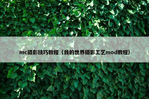 mc摄影技巧教程（我的世界摄影工艺mod教程）