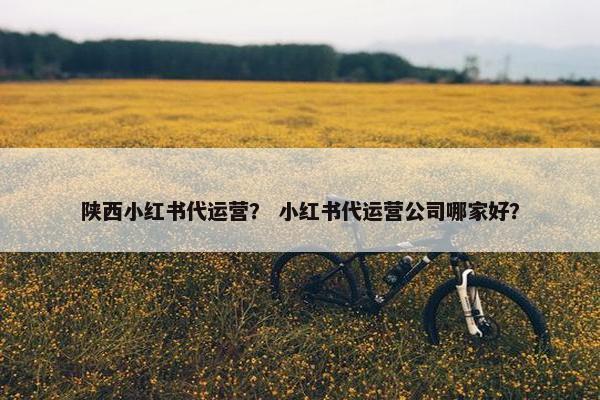 陕西小红书代运营？ 小红书代运营公司哪家好？