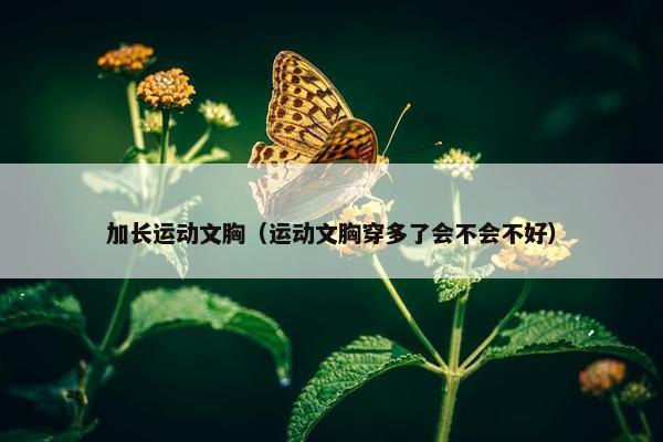 加长运动文胸（运动文胸穿多了会不会不好）