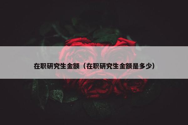 在职研究生金额（在职研究生金额是多少）