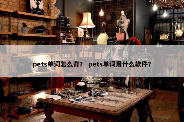 pets单词怎么背? pets单词用什么软件? pets单词怎么背? pets单词用什么软件?