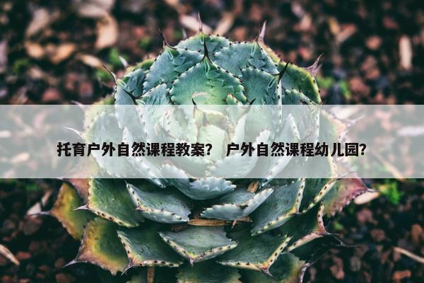 托育户外自然课程教案？ 户外自然课程幼儿园？