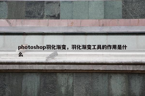 photoshop羽化渐变，羽化渐变工具的作用是什么