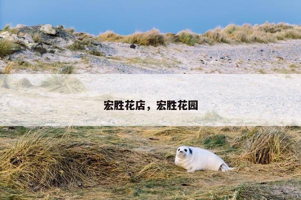 宏胜花店，宏胜花园