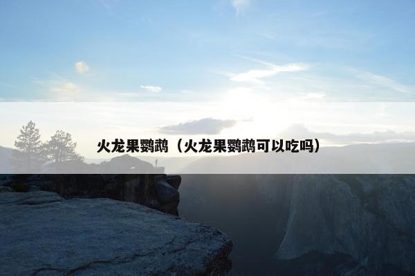 火龙果鹦鹉（火龙果鹦鹉可以吃吗）