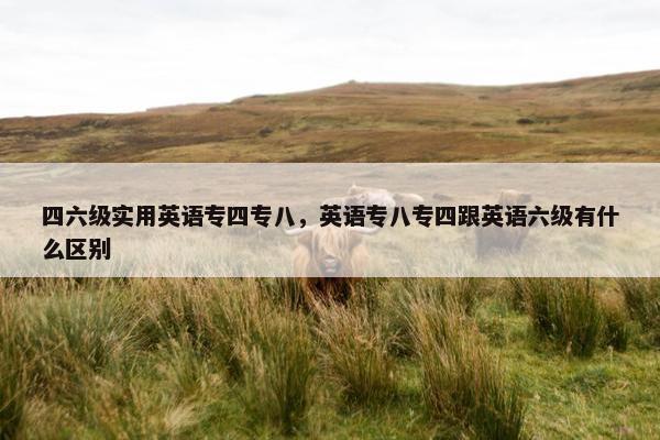 四六级实用英语专四专八，英语专八专四跟英语六级有什么区别