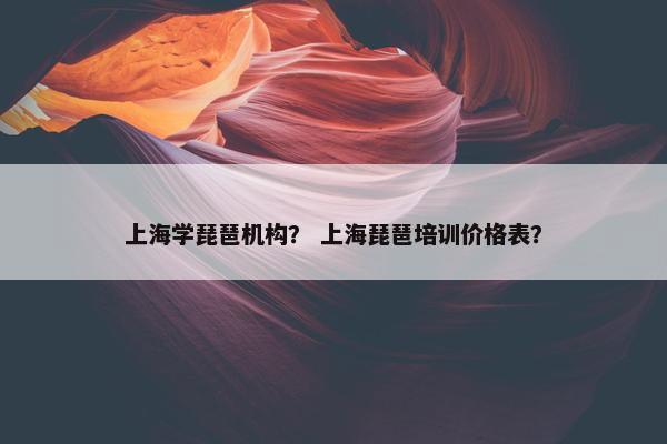 上海学琵琶机构？ 上海琵琶培训价格表？