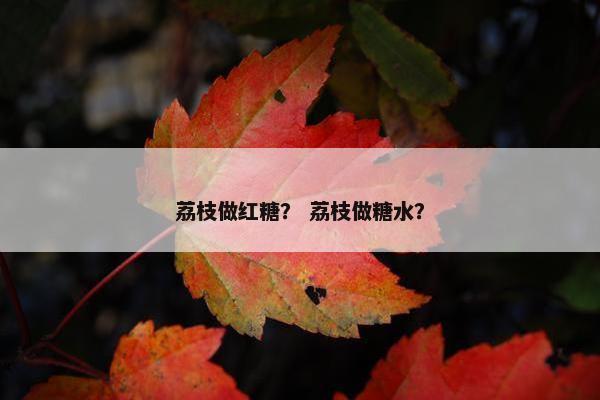荔枝做红糖? 荔枝做糖水? 荔枝做红糖? 荔枝做糖水?