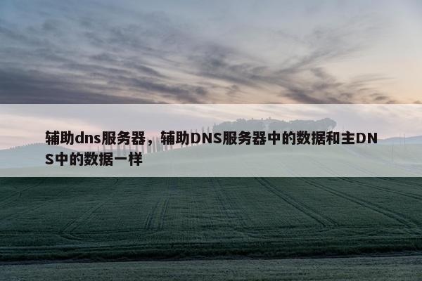 辅助dns服务器,辅助DNS服务器中的数据和主DNS中的数据一样 辅助dns服务器,辅助DNS服务器中的数据和主DNS中的数据一样