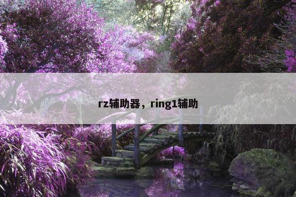 rz辅助器，ring1辅助