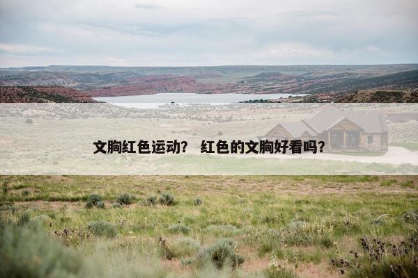 文胸红色运动？ 红色的文胸好看吗？