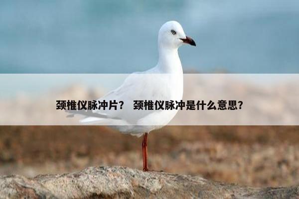 颈椎仪脉冲片？ 颈椎仪脉冲是什么意思？